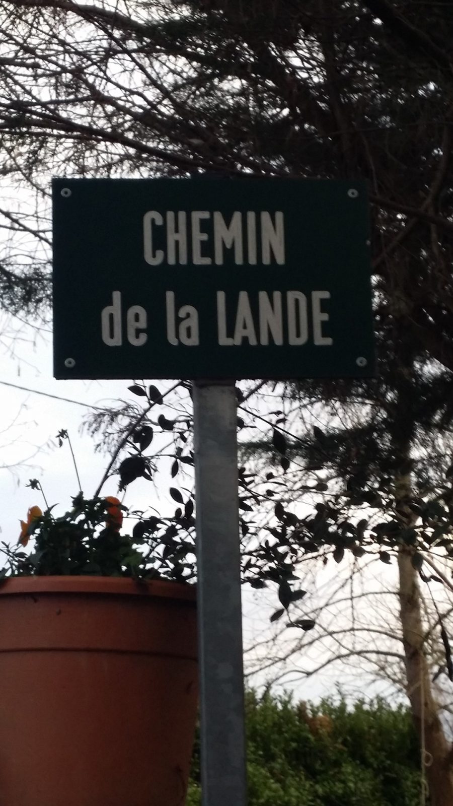 Vers le chemin de la Lande Montastruc