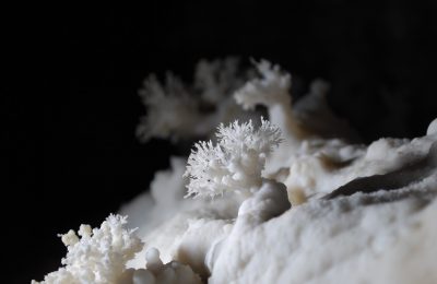 Bouquet d'aragonite