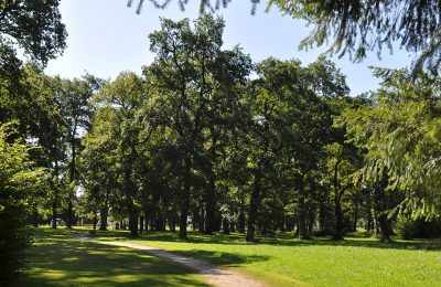 Forêt La Plantade