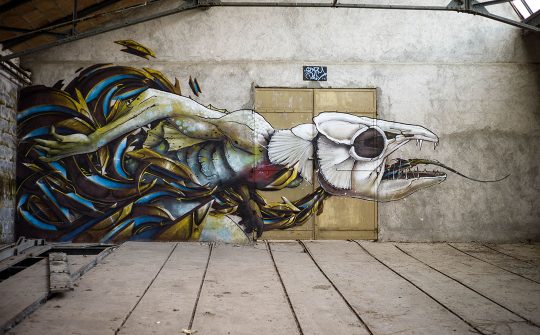 street art CCPL