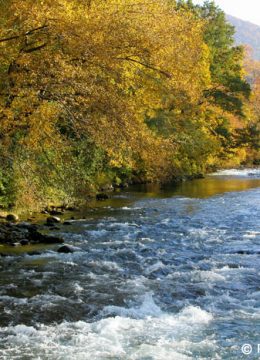 La rivière de la Neste