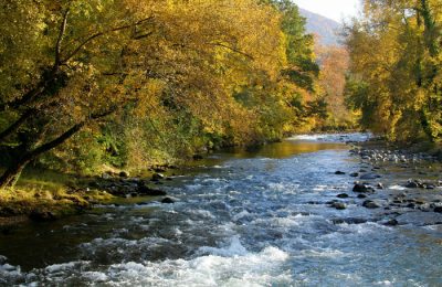 La Rivière de la Neste