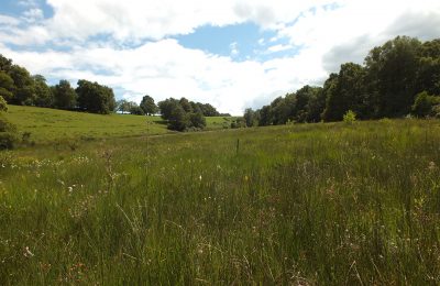 Tourbieres Clarens