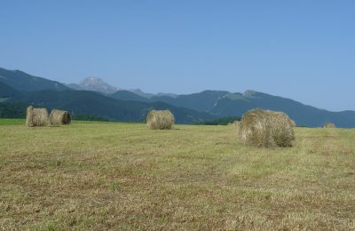 Boules de foin