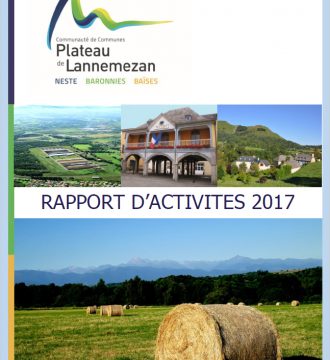 Rapport-activite-2017