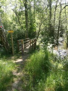 Sentier tourbiere clarens 2