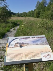 Sentier tourbiere clarens 3