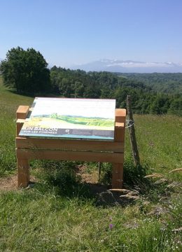 Sentier tourbiere clarens 5