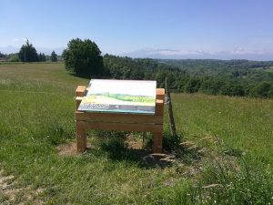 Sentier tourbiere clarens 5