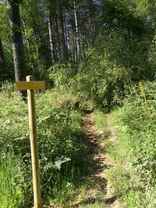 Sentier tourbiere clarens 6